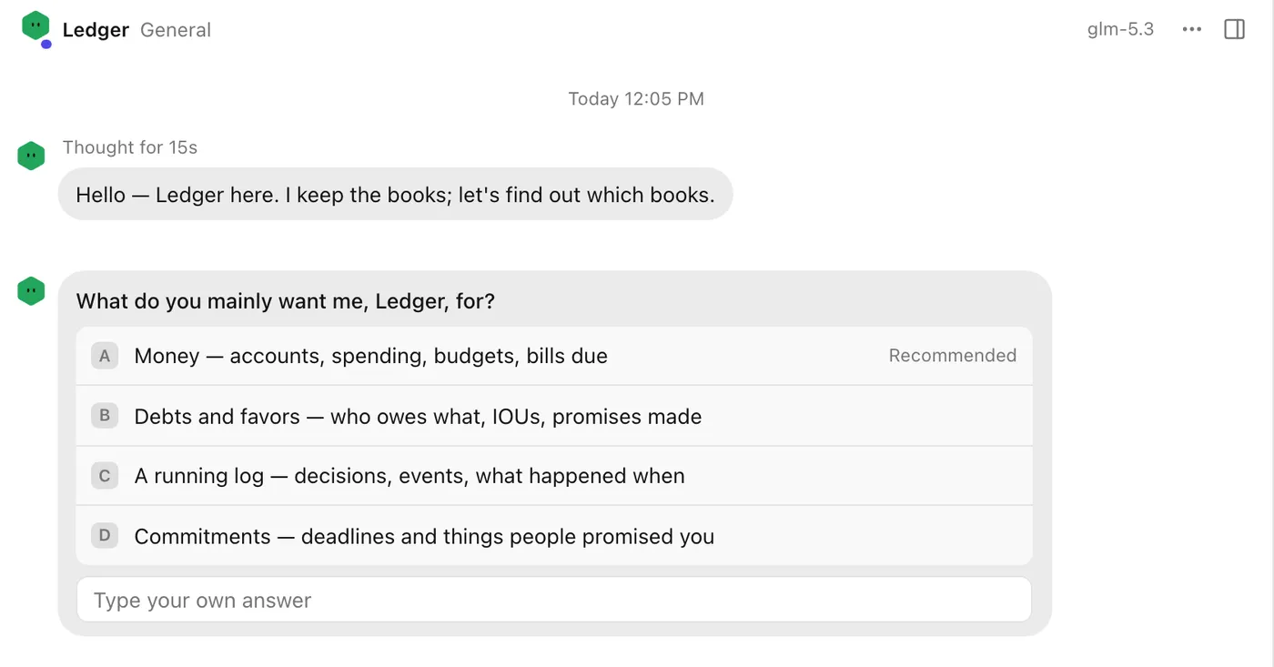 Ledger asking what it should mainly be used for, offering four answers and a free-text box.