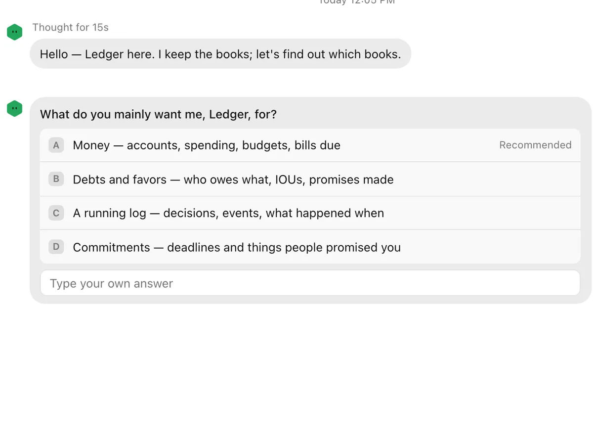 Ledger asking what it should mainly be used for, with four suggested answers.